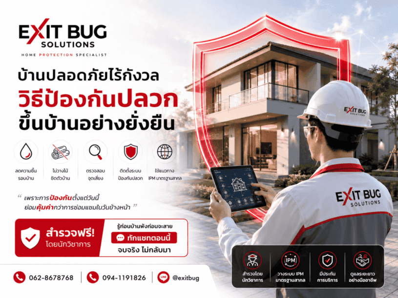 วิธีป้องกันปลวกขึ้นบ้านอย่างยั่งยืน ต้องเริ่มจากอะไร?