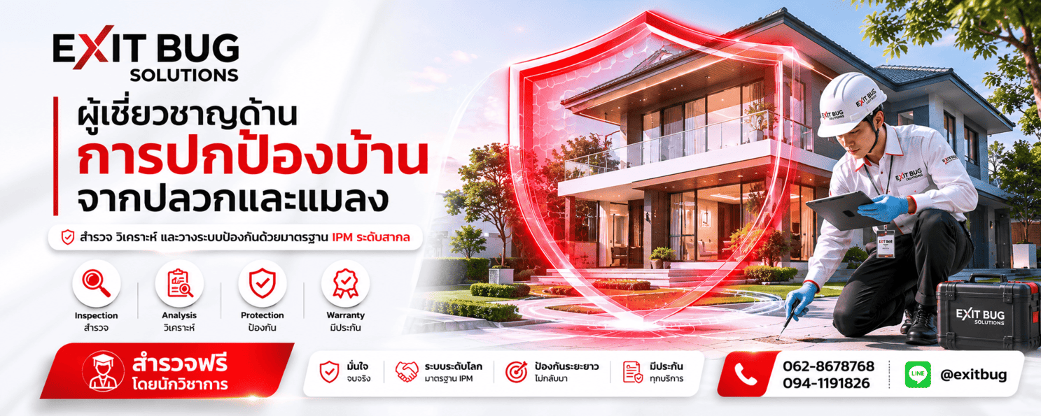 บริการกำจัดปลวกชลบุรี
