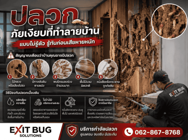 ภาพปกบทความ
