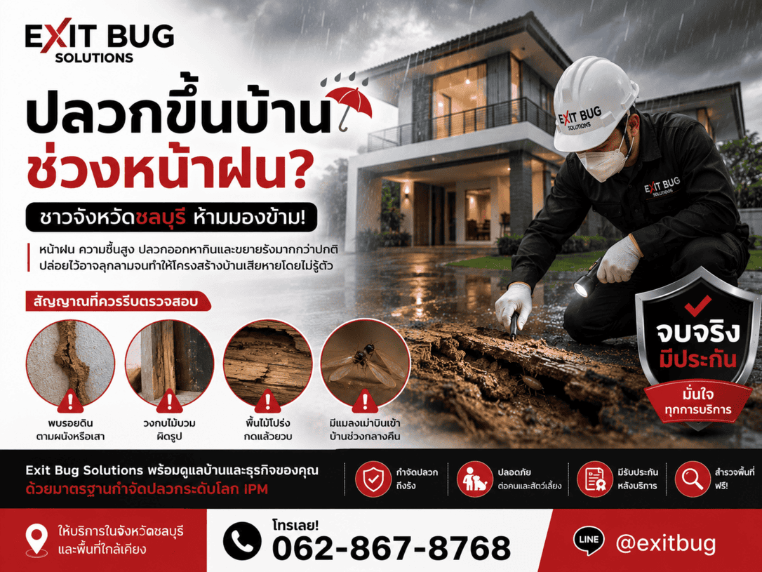 ปลวกขึ้นบ้านช่วงหน้าฝน ชาวจังหวัดชลบุรี ห้ามมองข้าม 062-867-8768