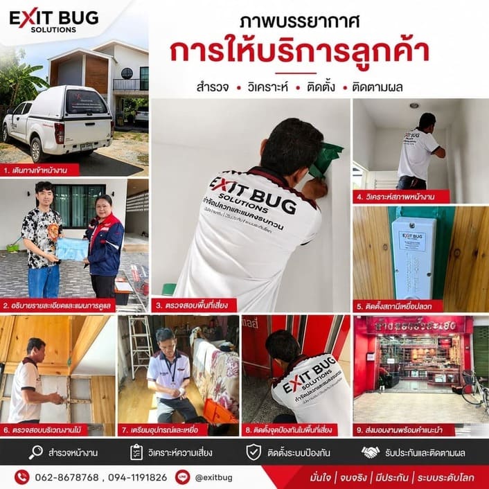 ผลงานกำจัดปลวกจริงจากลูกค้า Exit Bug Solutions สำรวจ วิเคราะห์ ติดตั้ง และติดตามผลอย่างมืออาชีพ