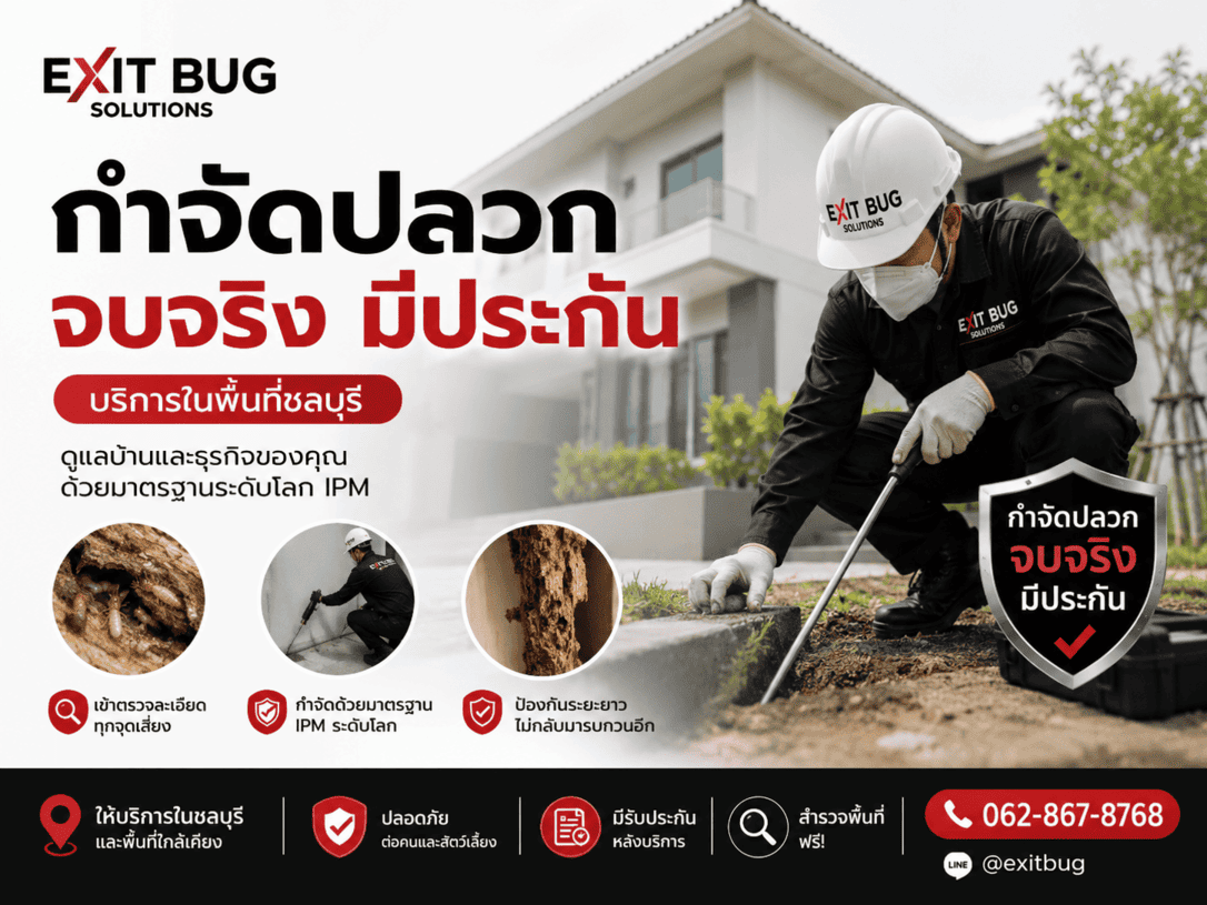 เข้าดูหน้างานจริง ให้บริการกำจัดปลวกในพื้นที่ชลบุรี โทร 062-867-8768