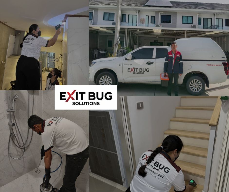 exit bug solutions สำรวจฟรี ก่อนบ้านเสียหายหนัก