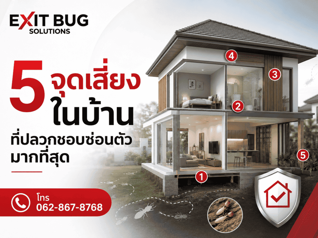 5 จุดเสี่ยงในบ้านที่ปลวกชอบซ่อนตัวมากที่สุด บริการกำจัดปลวกชลบุรี โดย Exit Bug Solutions