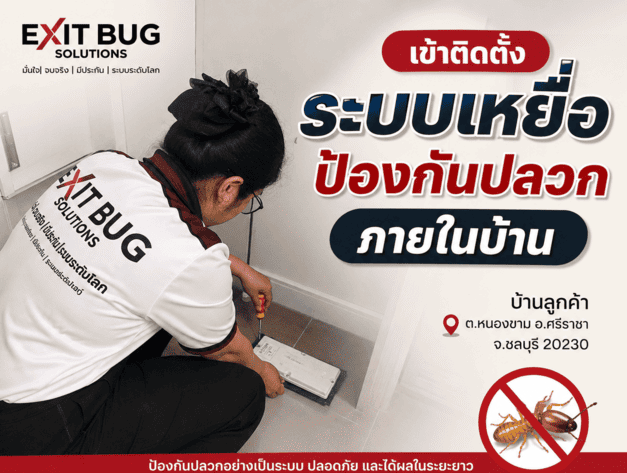 ติดตั้งระบบเหยื่อป้องกันปลวกภายในบ้าน ศรีราชา ชลบุรี Exit Bug Solutions