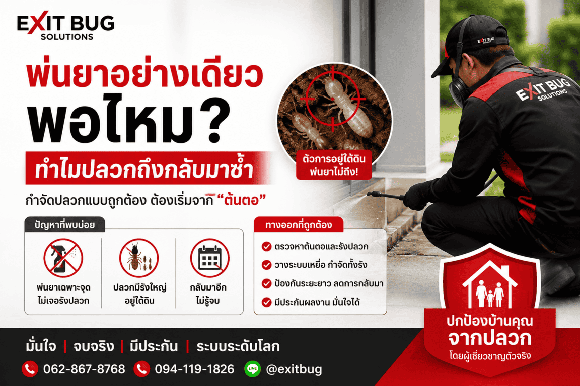 พ่นยาอย่างเดียวพอไหม ทำไมปลวกถึงกลับมาซ้ำ บริการกำจัดปลวกชลบุรี โดย Exit Bug Solutions