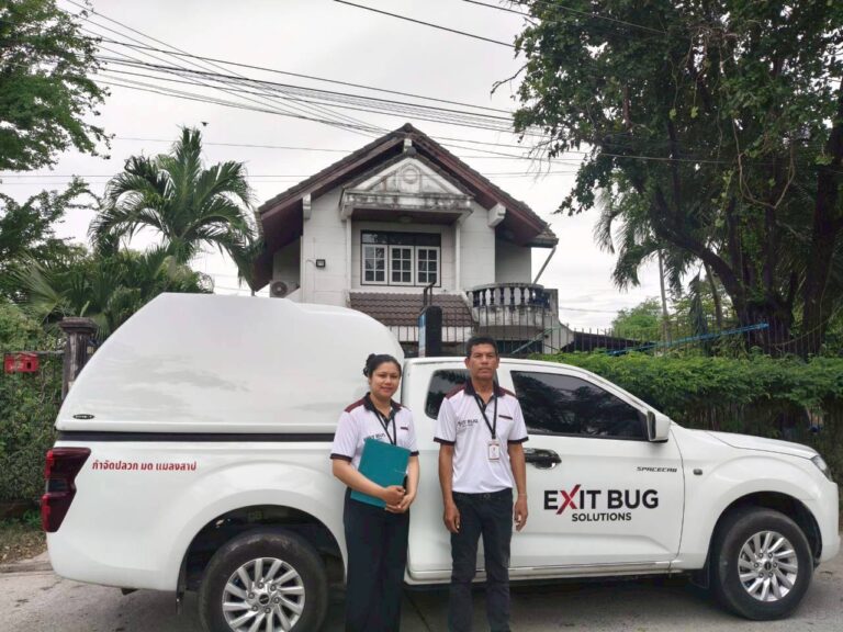 กำจัดปลวกชลบุรี ที่ไหนดี? สำรวจฟรี ก่อนบ้านเสียหายหนัก