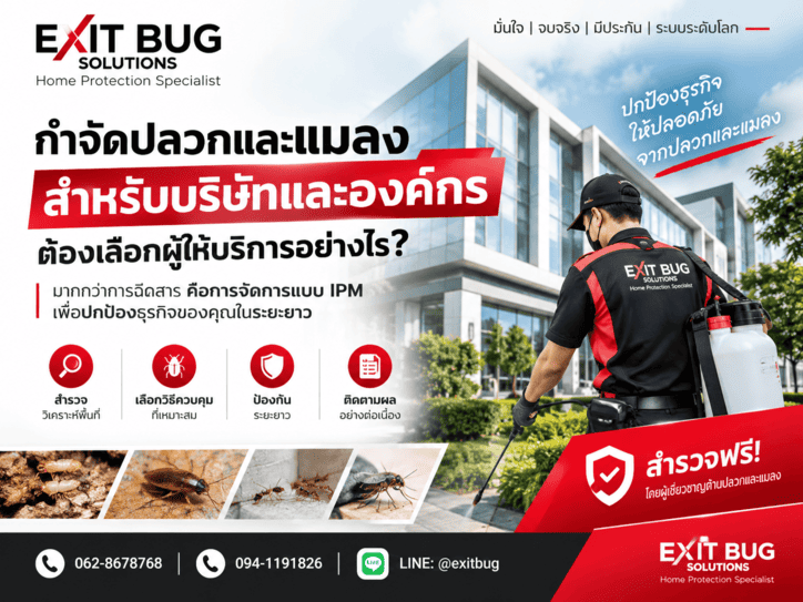 กำจัดปลวกสำหรับบริษัท